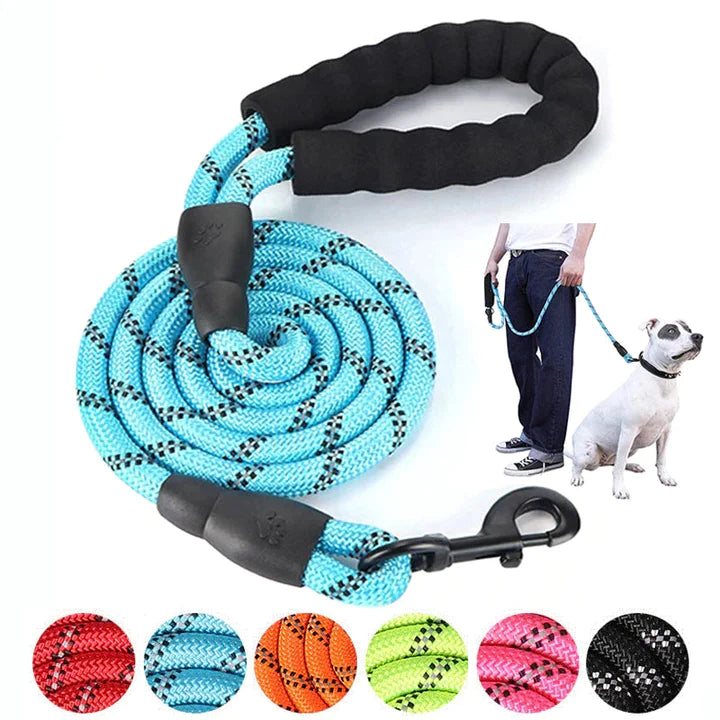 Rope pet leash hot sale how to use