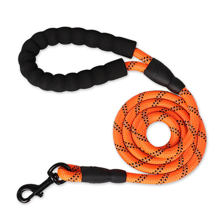 Strong Nylon Reflective Dog Leash