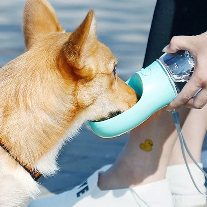 Travel Water Bottle- Free shipping