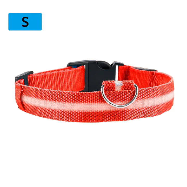 LED Pet Collar