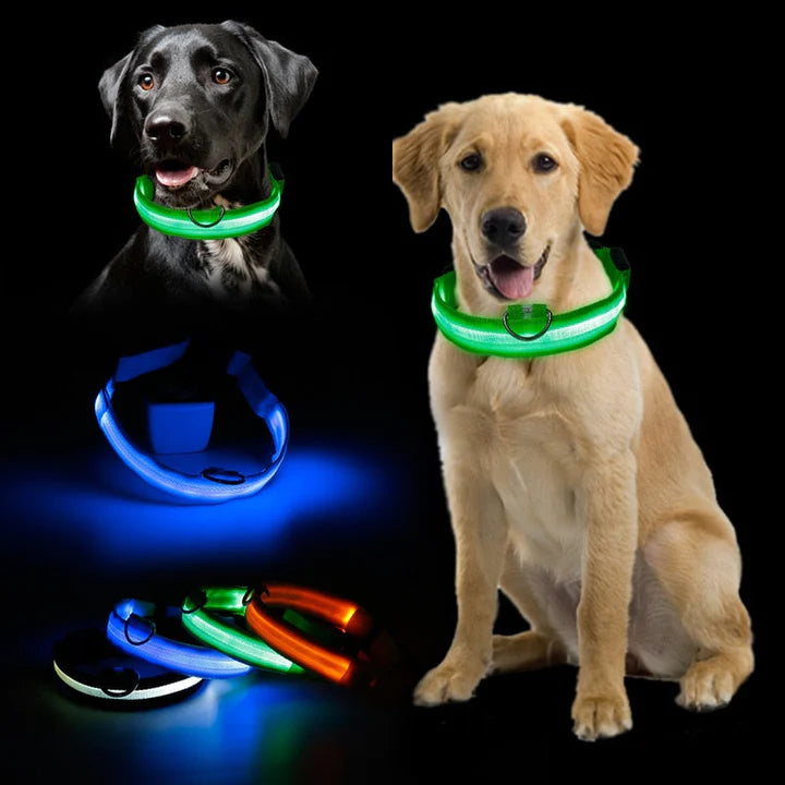 LED Pet Collar