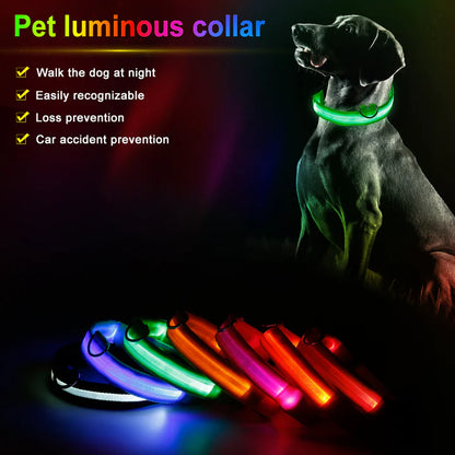 LED Pet Collar