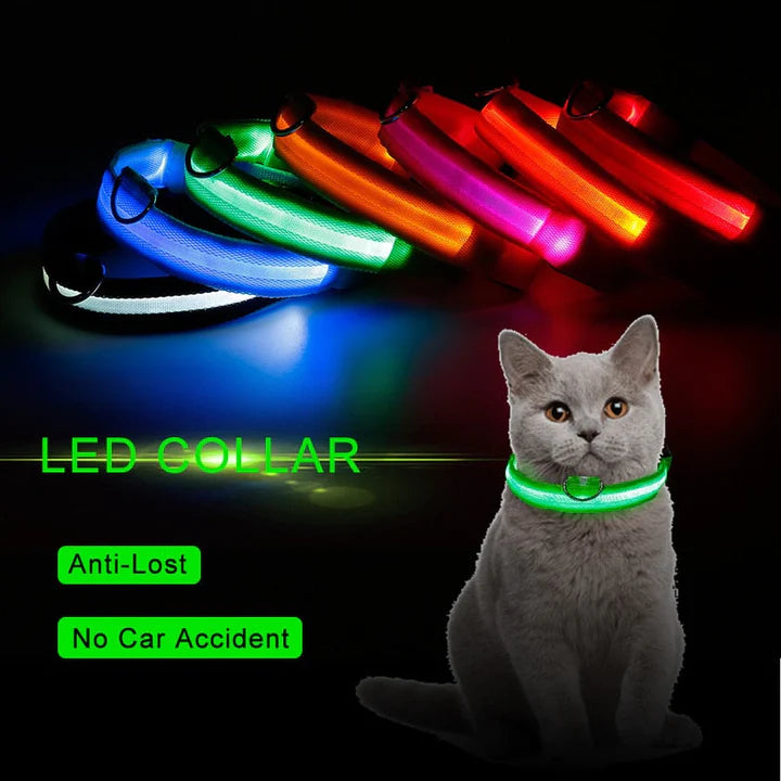 LED Pet Collar