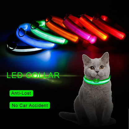 LED Pet Collar