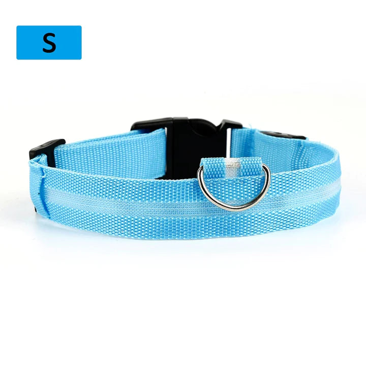 LED Pet Collar