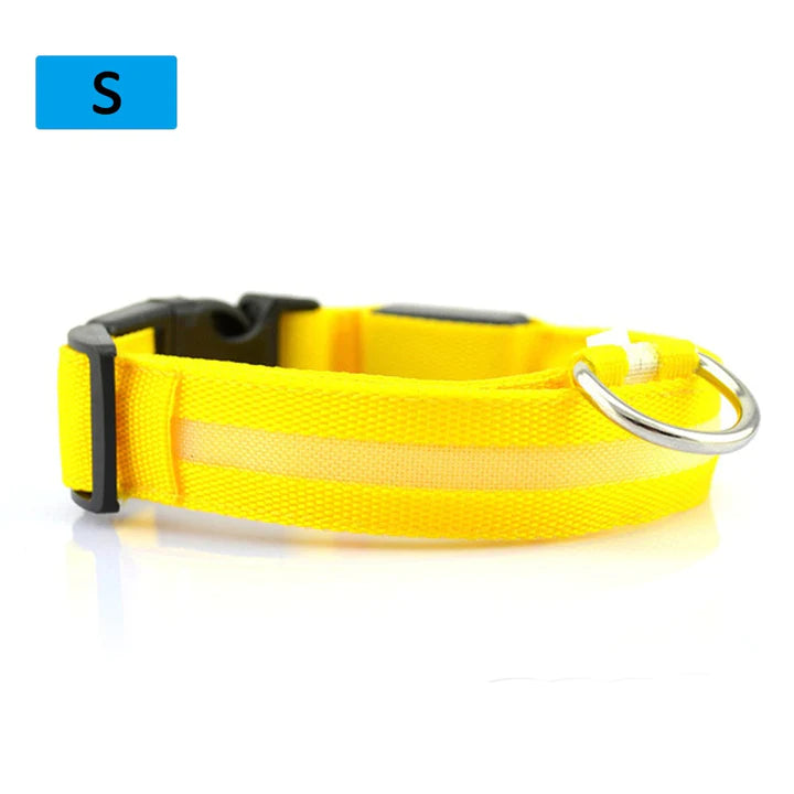 LED Pet Collar