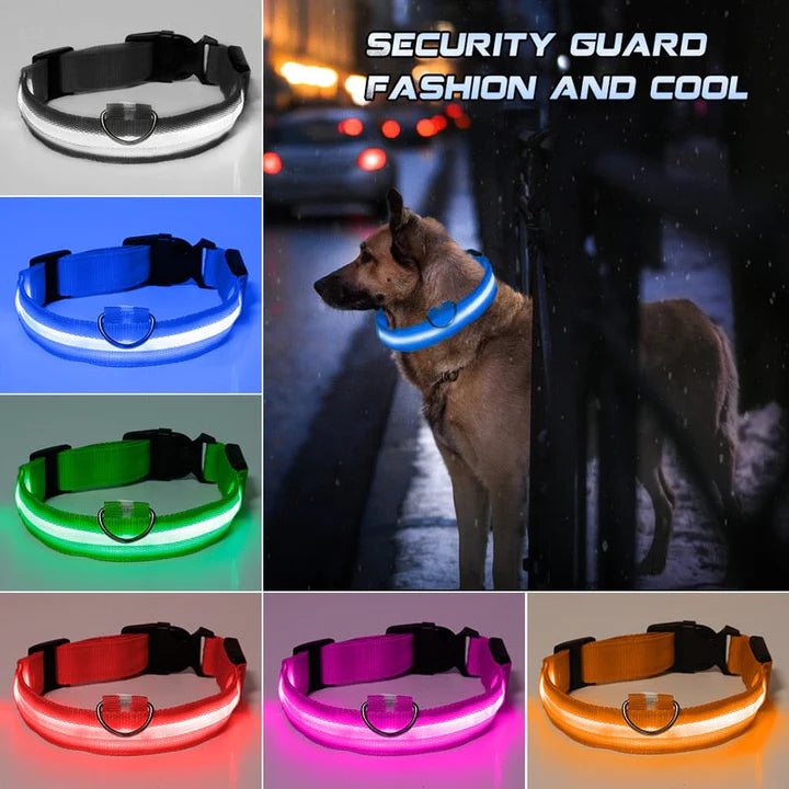 LED Pet Collar