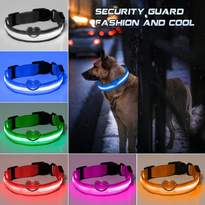 LED Pet Collar