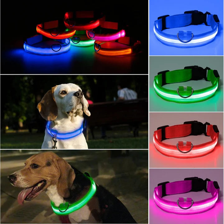 LED Pet Collar