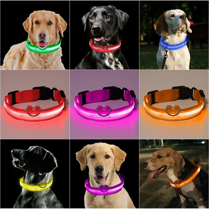 LED Pet Collar