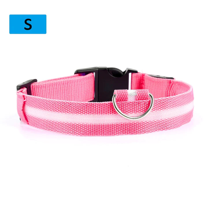 LED Pet Collar